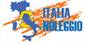 logo italianoleggio